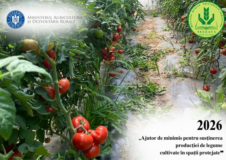 651155359_1231645229153560_1907629636751758583_n (2)